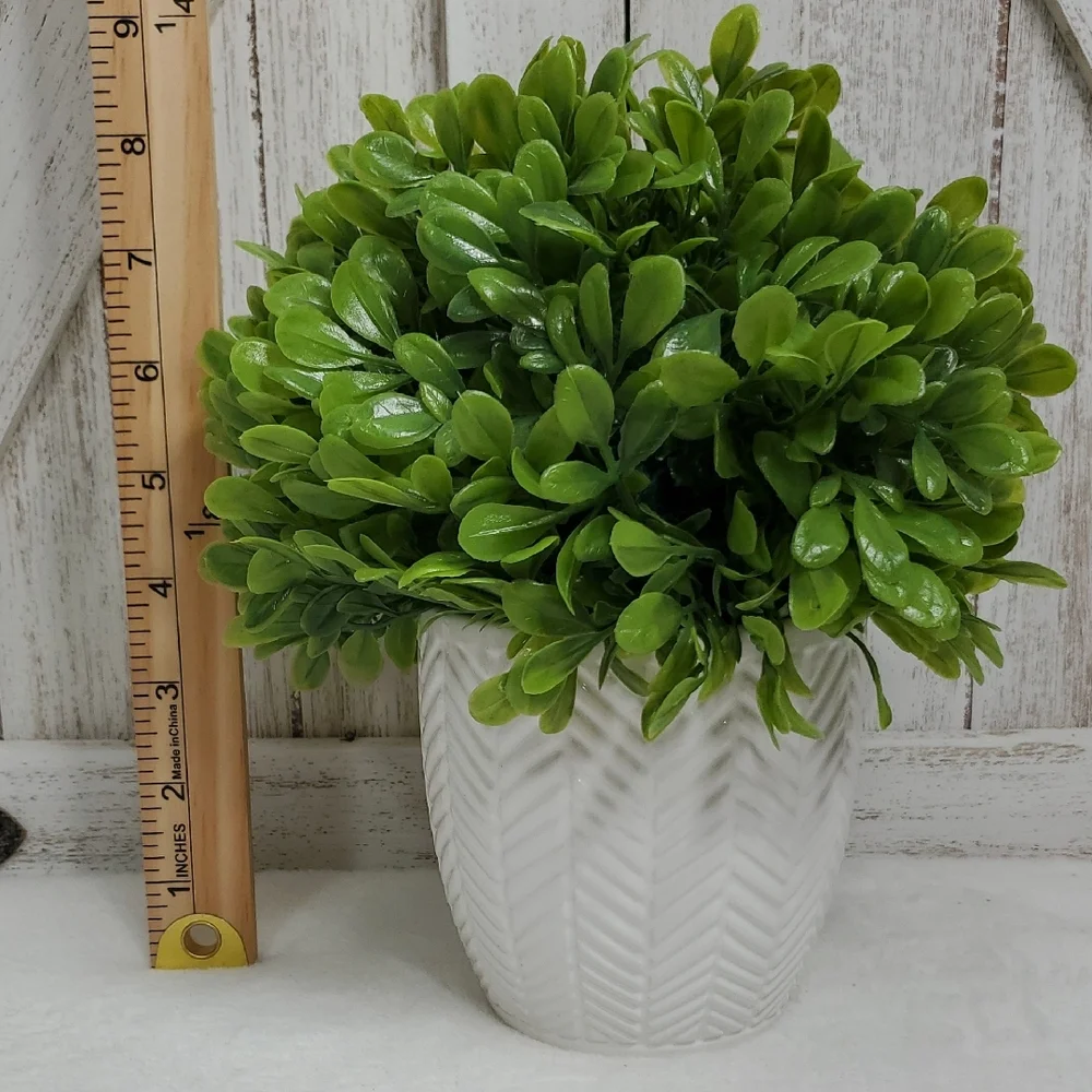 Unknown faux boxwood